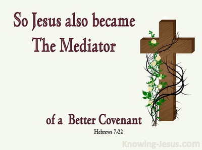Hebrews 7:22 A Better Covenant (brown)